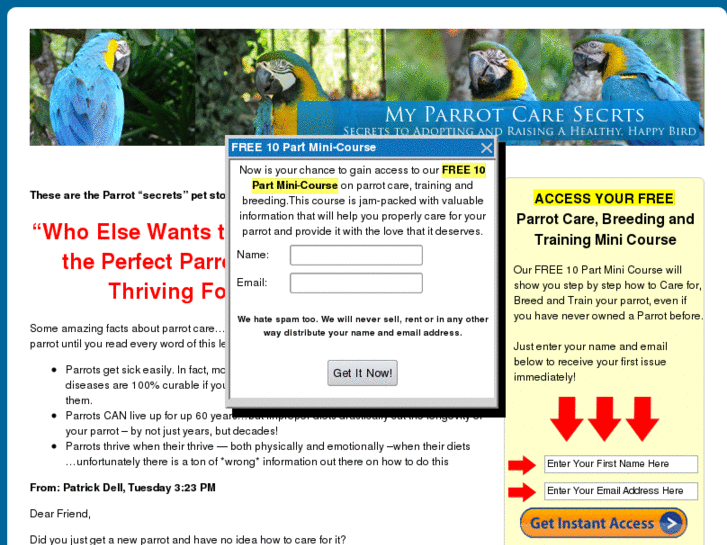 www.myparrotcaresecrets.com