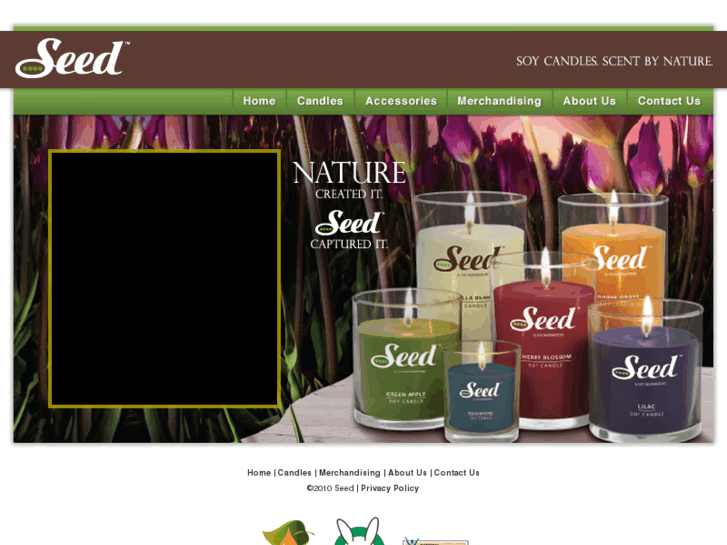 www.seedsoycandles.com