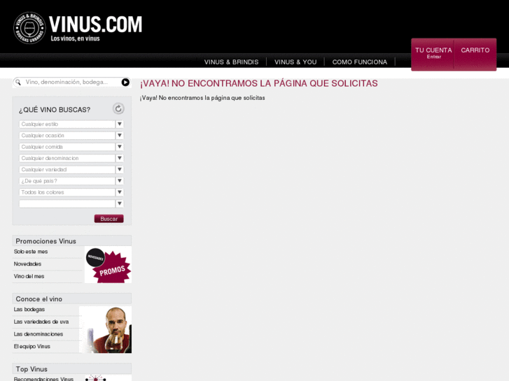 www.vinus-service.es