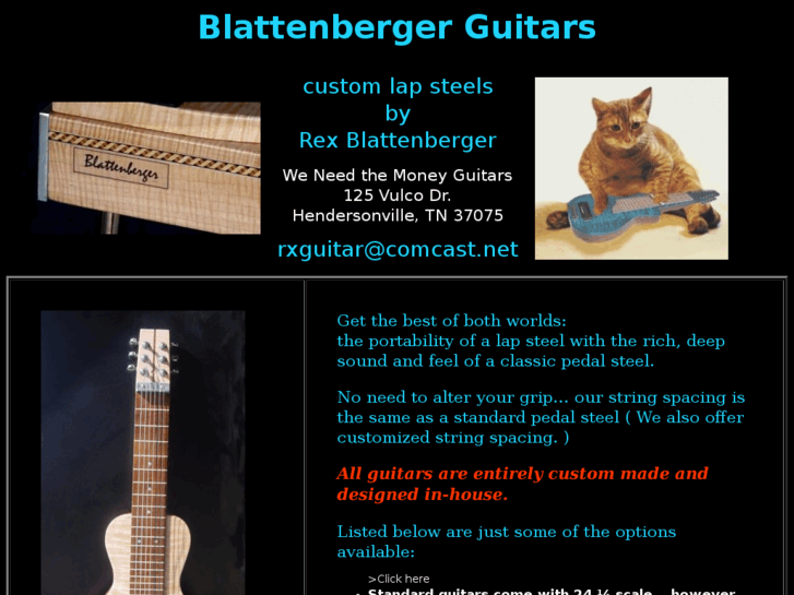 www.weneedthemoneyguitars.com