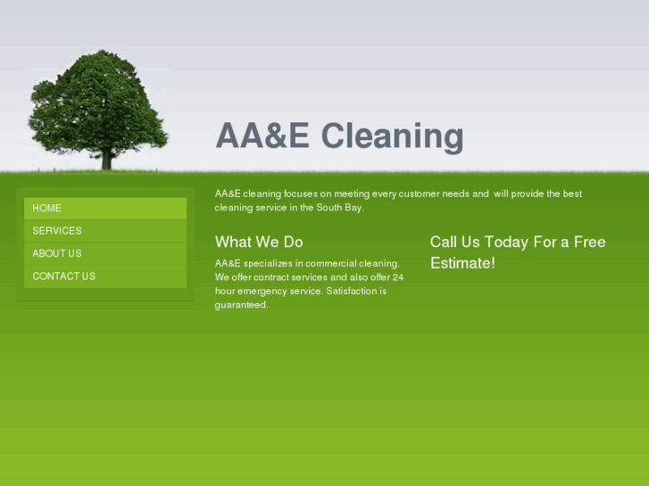 www.aaecleaning.com