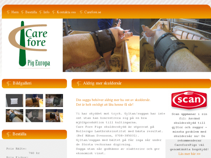 www.careforepig.se