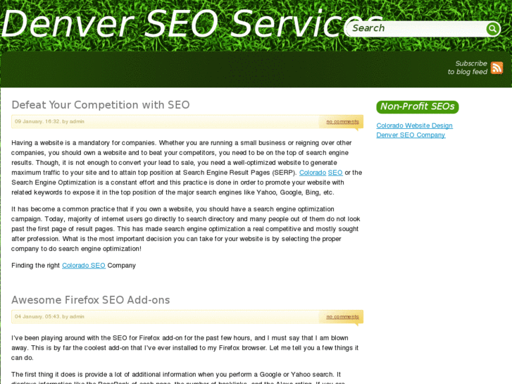 www.denverseoservices.org