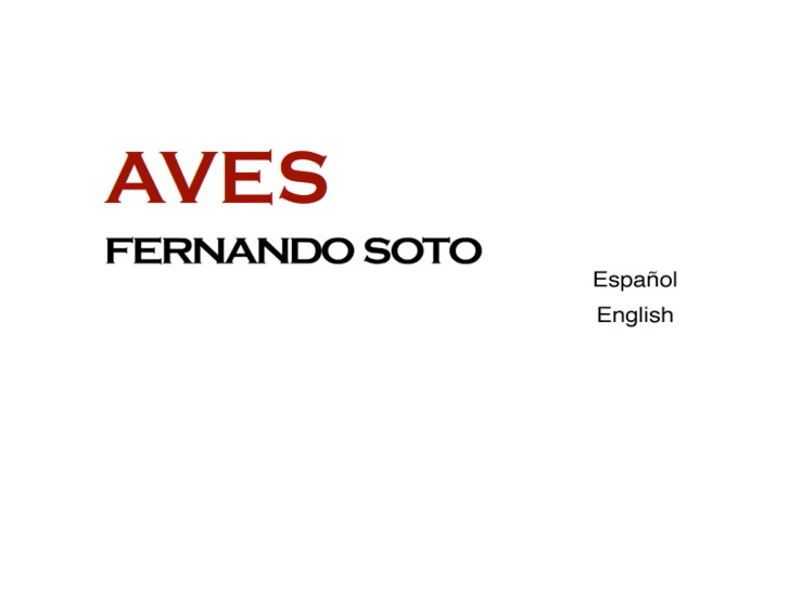 www.fernandosotolugo.com