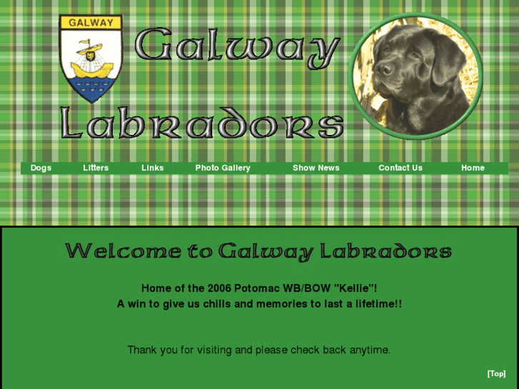 www.galwaylabradors.com