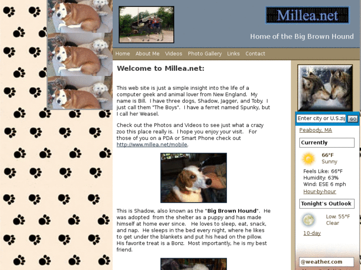 www.millea.net