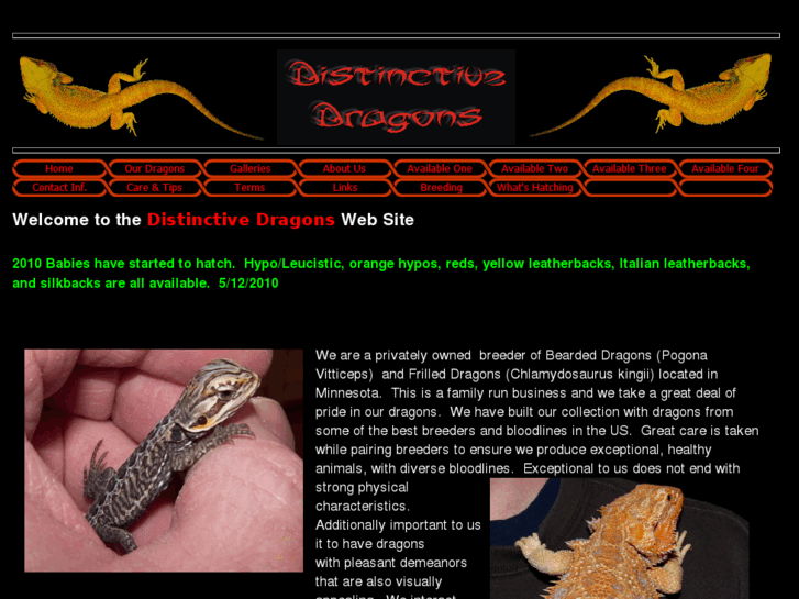 www.distinctivedragons.com