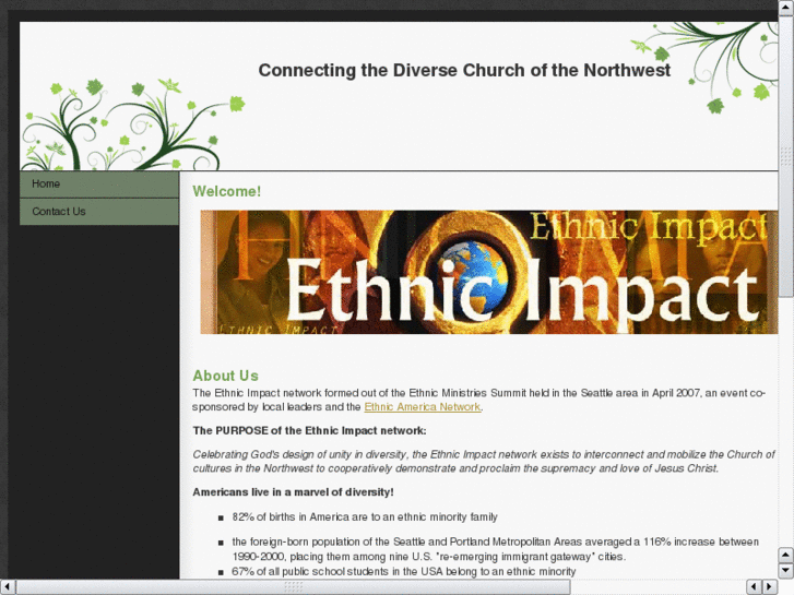 www.ethnicimpact.net