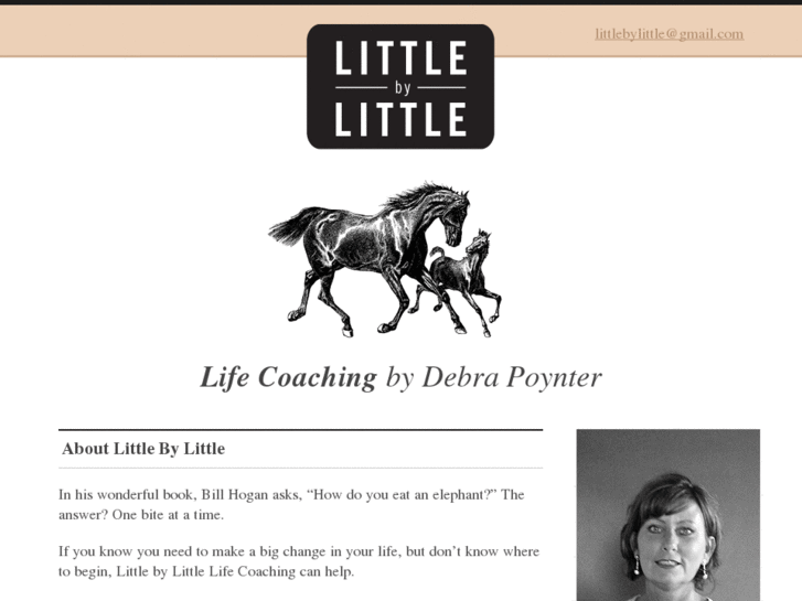 www.littlebylittlelifecoach.com