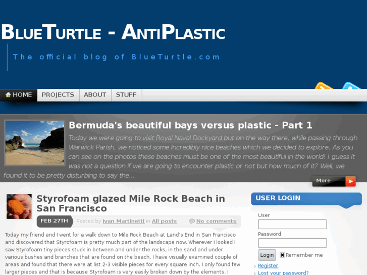 www.blueturtleeducation.com