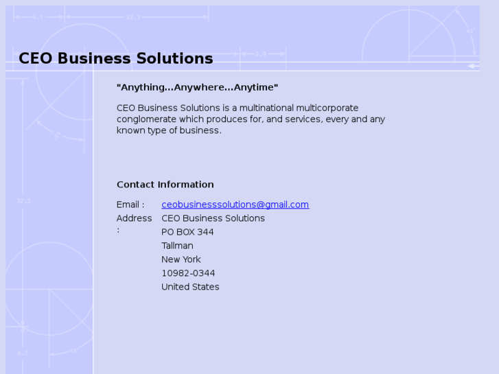 www.ceobusinesssolutions.com