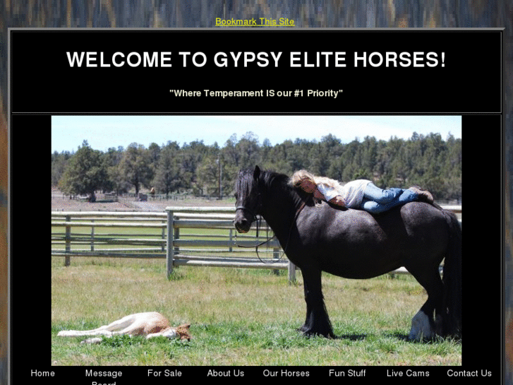 www.gypsyelite.com