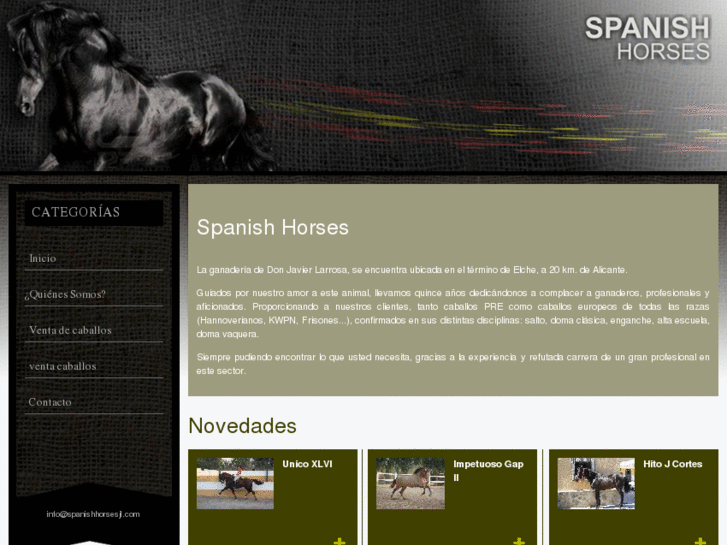 www.spanishhorsesjl.com