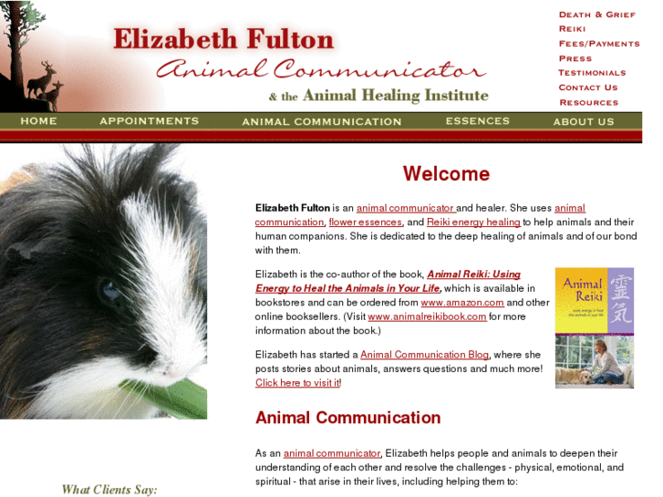 www.animalhealinginstitute.com