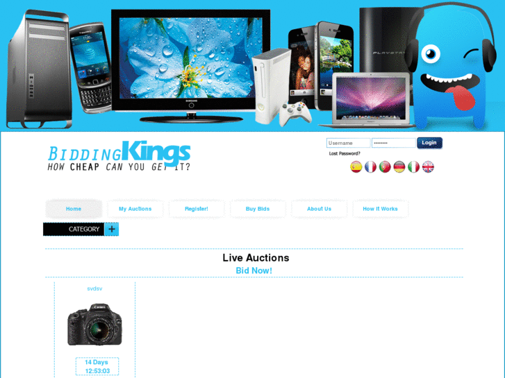 www.biddingkings.com