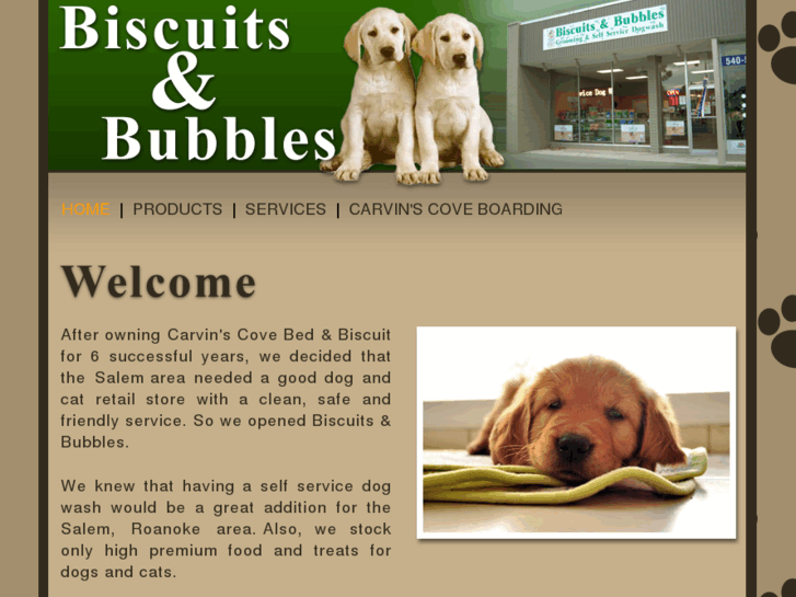 www.biscuitsandbubbles.com