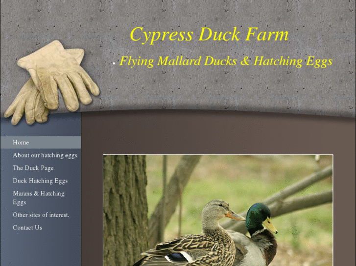 www.cypressduckfarm.com