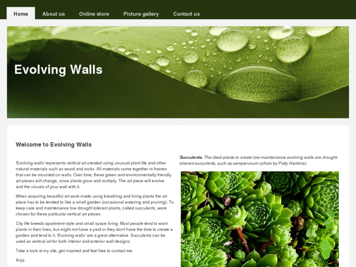 www.evolvingwalls.com