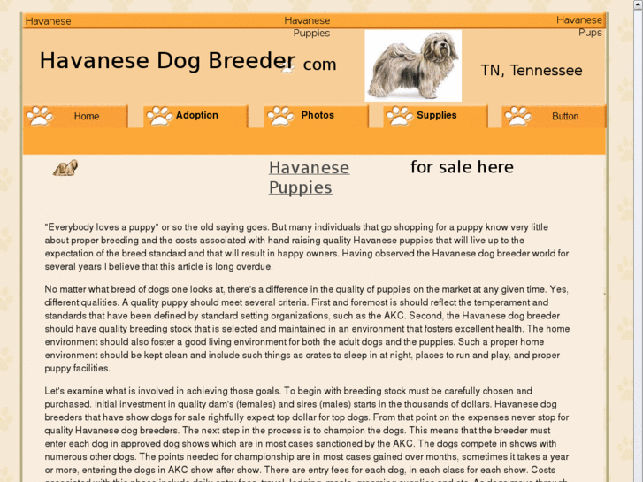 www.havanesedogbreeder.com