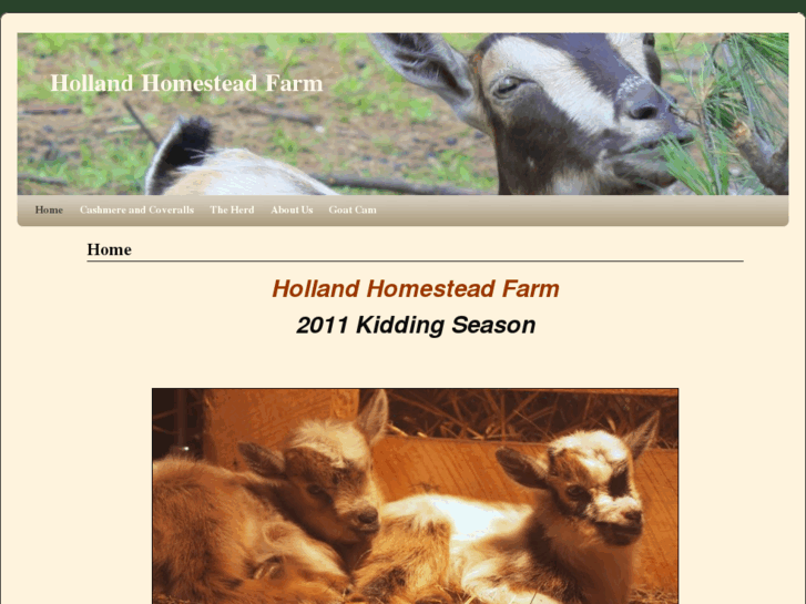 www.hollandhomestead.com