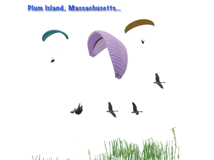 www.plum-island.com