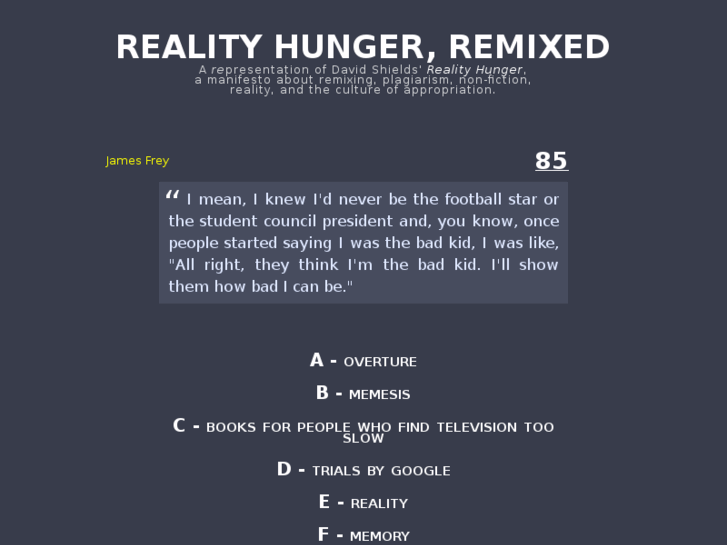 www.realityhunger.com