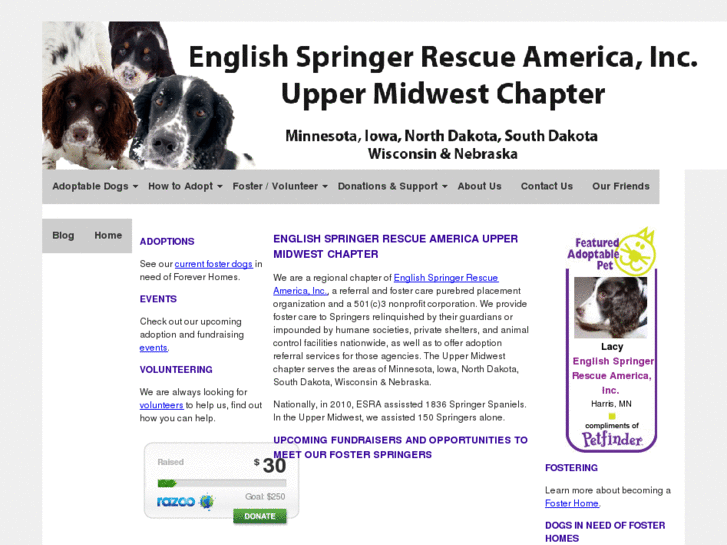 www.springerrescuemidwest.com