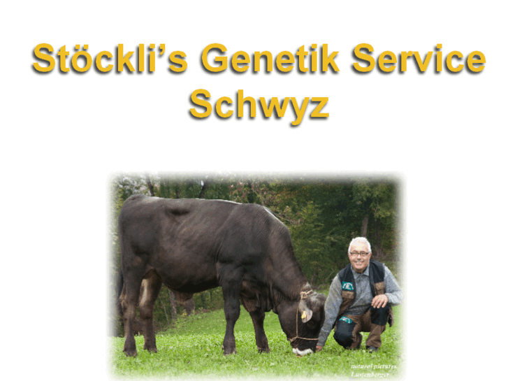 www.stoeckligen.ch