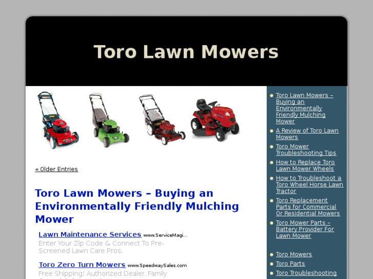 www.torolawnmowers.info