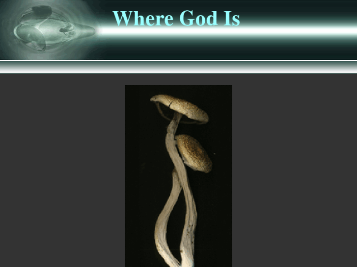 www.wheregodis.com