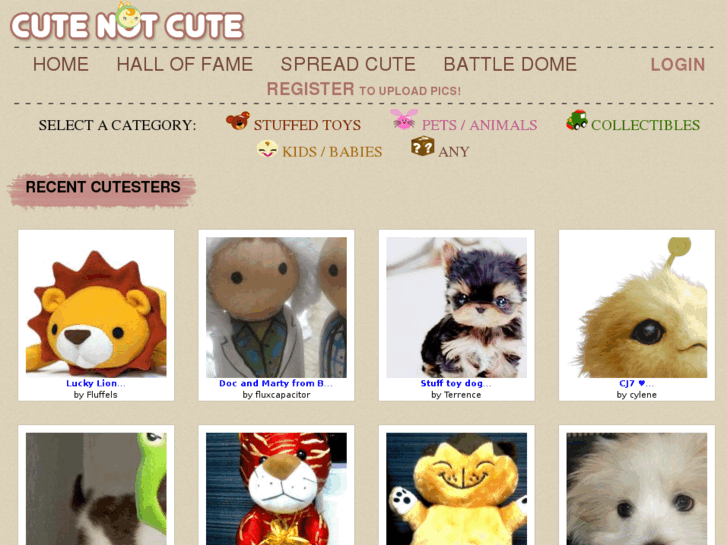 www.cutenotcute.com