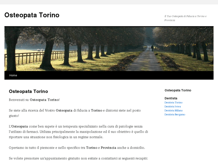 www.osteopata-torino.com