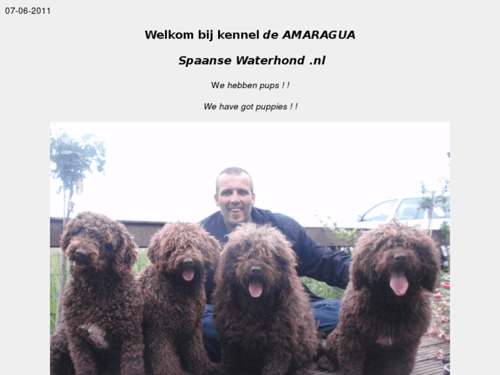 www.spaansewaterhond.nl