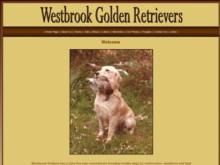 www.westbrookgoldens.com