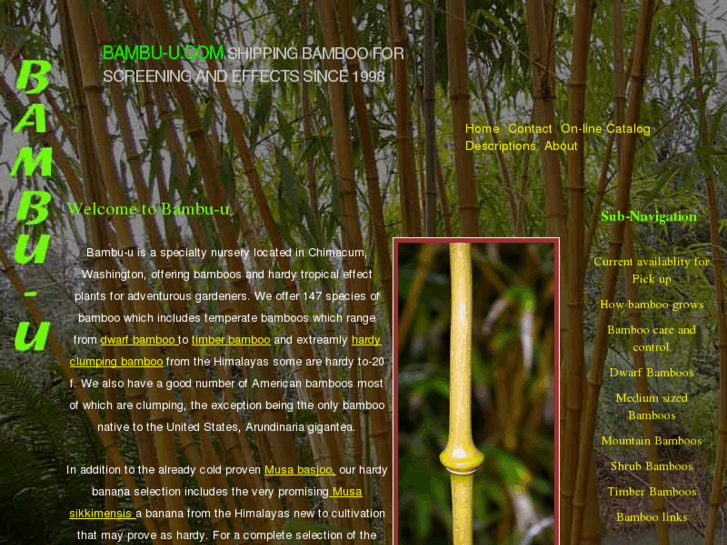 www.bambu-u.com