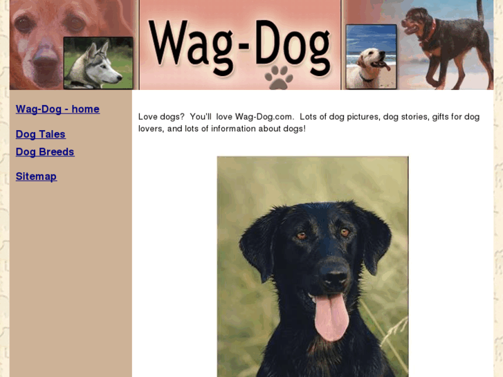 www.wag-dog.com