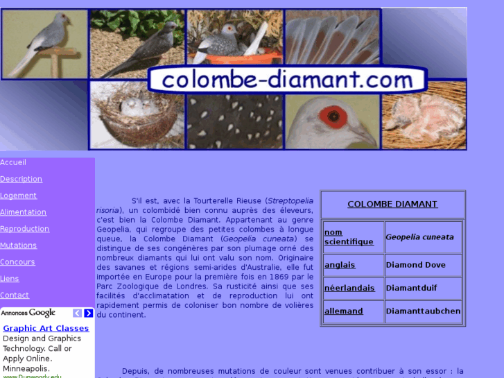 www.colombe-diamant.com