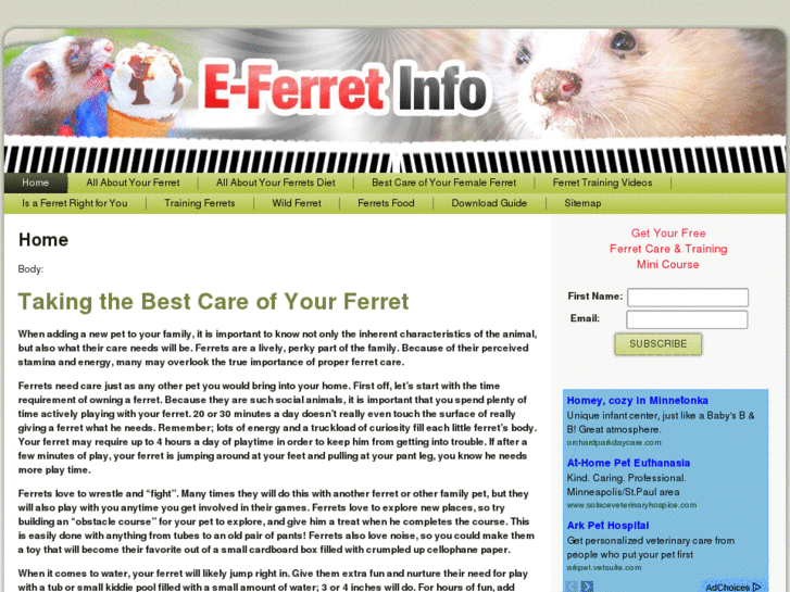 www.eferretinfo.com