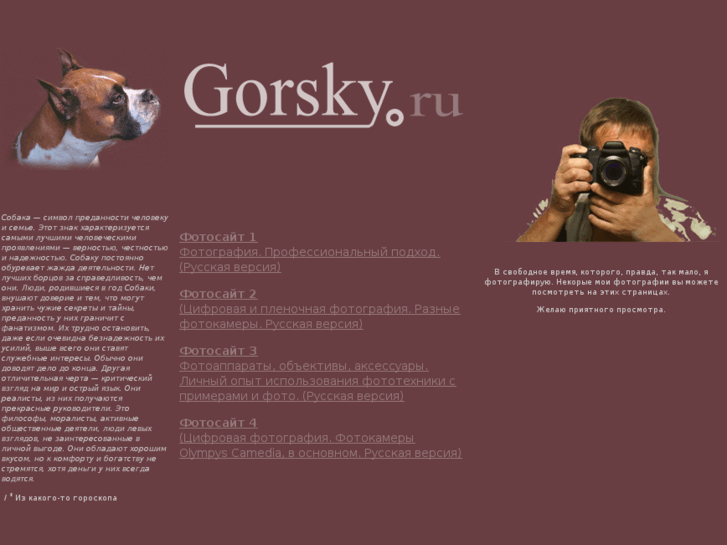 www.gorsky.ru