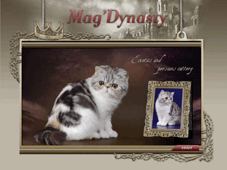 www.magdynasty.ru