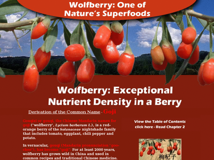 www.wolfberry.org