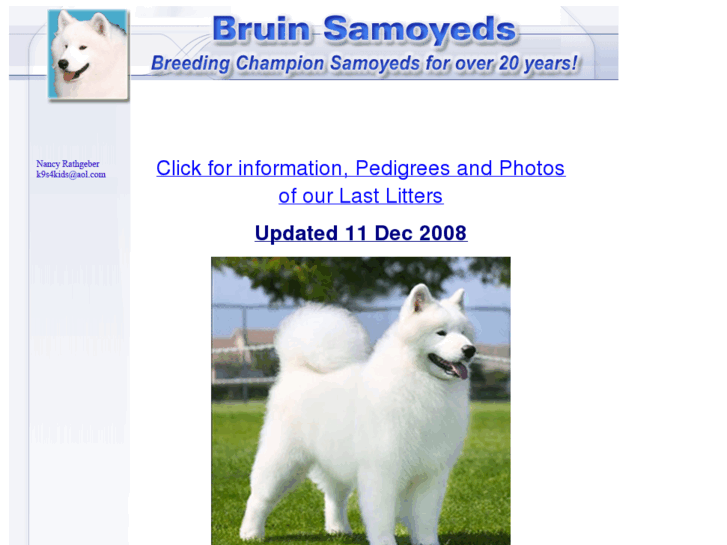 www.bruinsamoyeds.com