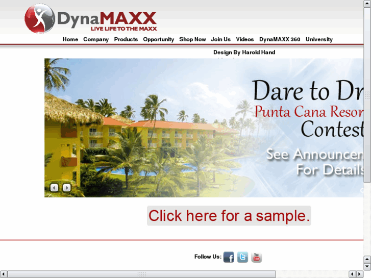 www.dynamaxlightson.net