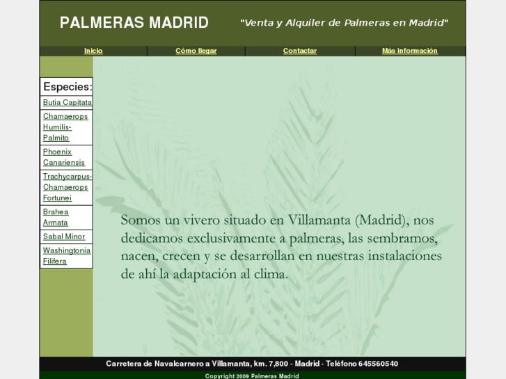 www.palmerasmadrid.es