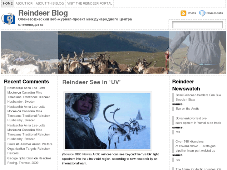 www.reindeerblog.org