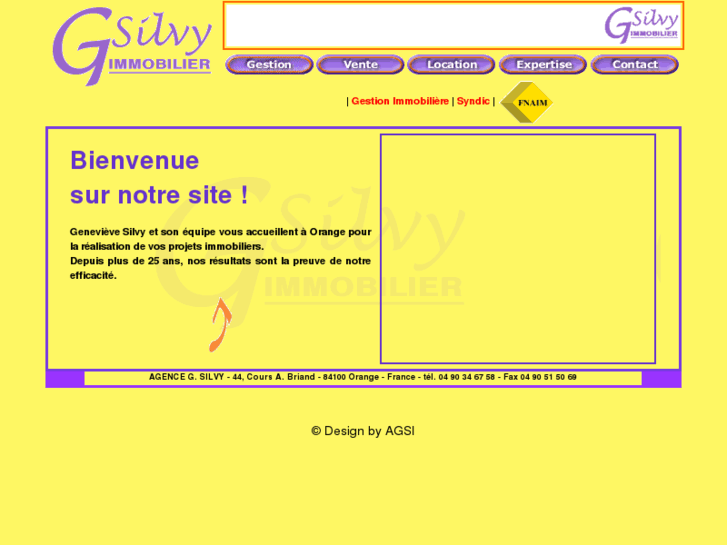 www.silvy-immobilier.com