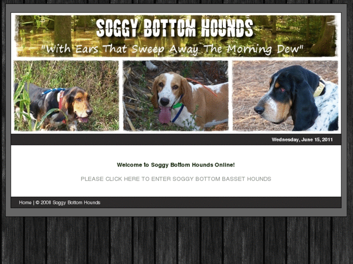 www.soggybottombassets.com