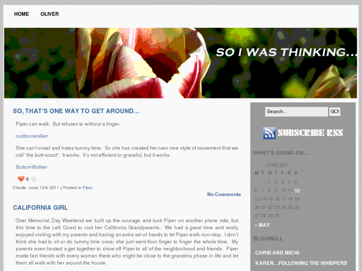 www.soiwasthinking.net