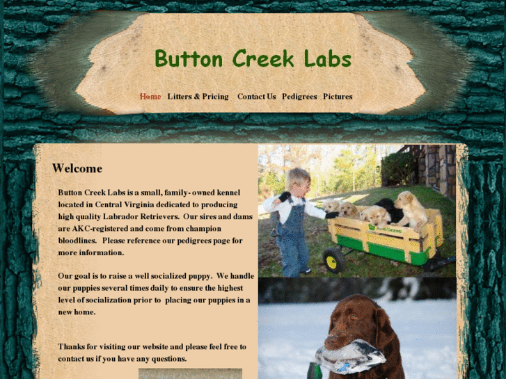 www.buttoncreeklabs.com