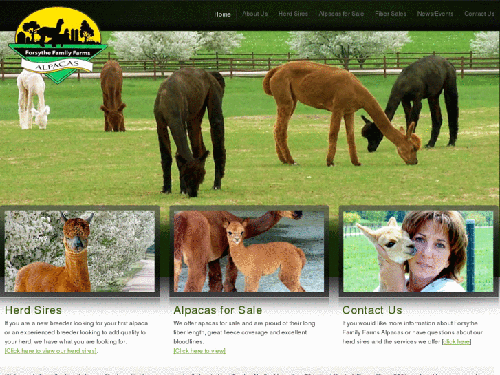 www.forsythealpacas.com